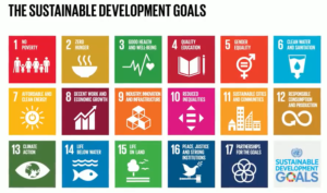 Sustainable Development Goals-SDGs